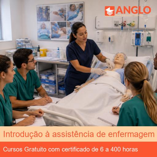 Introdução à assistência de enfermagem no pós operatório